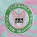 Starbarks Dogicorn Frapawccino - hdd-dogicorn