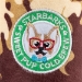 Starbarks Sweet Pup Cold Brew - hdd-sweetpup