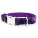 Starlight Glitter and Velvet Collar & Lead - mg-starlight