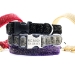 Starlight Glitter and Velvet Collar & Lead - mg-starlight