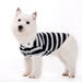 Striped Polo Shirt - Gray - dgo-gray-striped