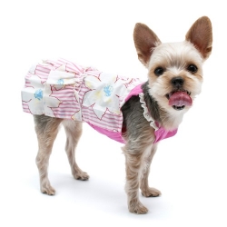 Summer Flower Dress  wooflink, susan lanci, dog clothes, small dog clothes, urban pup, pooch outfitters, dogo, hip doggie, doggie design, small dog dress, pet clotes, dog boutique. pet boutique, bloomingtails dog boutique, dog raincoat, dog rain coat, pet raincoat, dog shampoo, pet shampoo, dog bathrobe, pet bathrobe, dog carrier, small dog carrier, doggie couture, pet couture, dog football, dog toys, pet toys, dog clothes sale, pet clothes sale, shop local, pet store, dog store, dog chews, pet chews, worthy dog, dog bandana, pet bandana, dog halloween, pet halloween, dog holiday, pet holiday, dog teepee, custom dog clothes, pet pjs, dog pjs, pet pajamas, dog pajamas,dog sweater, pet sweater, dog hat, fabdog, fab dog, dog puffer coat, dog winter jacket, dog col