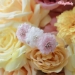 Summer Flowers Hairclip - wf-summerflowershair