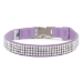 Susan Lanci 4 Row Perfect Fit Gilmore Collar in Many Colors  - sl-gilt4rowperfect