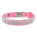 Susan Lanci 4 Row Perfect Fit Gilmore Collar in Many Colors  - sl-gilt4rowperfect