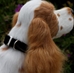 Susan Lanci Plain Dog Collar-Many Colors- 1/2 Inch - sl-plaincollar