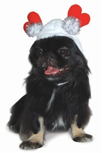 Sweet Heart Dog Hat  puppy bed,  beds,dog mat, pet mat, puppy mat, fab dog pet sweater, dog swepet clothes, dog clothes, puppy clothes, pet store, dog store, puppy boutique store, dog boutique, pet boutique, puppy boutique, Bloomingtails, dog, small dog clothes, large dog clothes, large dog costumes, small dog costumes, pet stuff, Halloween dog, puppy Halloween, pet Halloween, clothes, dog puppy Halloween, dog sale, pet sale, puppy sale, pet dog tank, pet tank, pet shirt, dog shirt, puppy shirt,puppy tank, I see spot, dog collars, dog leads, pet collar, pet lead,puppy collar, puppy lead, dog toys, pet toys, puppy toy, dog beds, pet beds, puppy bed,  beds,dog mat, pet mat, puppy mat, fab dog pet sweater, dog sweater, dog winter, pet winter,dog raincoat, pet rain