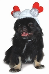 Sweet Heart Dog Hat  puppy bed,  beds,dog mat, pet mat, puppy mat, fab dog pet sweater, dog swepet clothes, dog clothes, puppy clothes, pet store, dog store, puppy boutique store, dog boutique, pet boutique, puppy boutique, Bloomingtails, dog, small dog clothes, large dog clothes, large dog costumes, small dog costumes, pet stuff, Halloween dog, puppy Halloween, pet Halloween, clothes, dog puppy Halloween, dog sale, pet sale, puppy sale, pet dog tank, pet tank, pet shirt, dog shirt, puppy shirt,puppy tank, I see spot, dog collars, dog leads, pet collar, pet lead,puppy collar, puppy lead, dog toys, pet toys, puppy toy, dog beds, pet beds, puppy bed,  beds,dog mat, pet mat, puppy mat, fab dog pet sweater, dog sweater, dog winter, pet winter,dog raincoat, pet rain