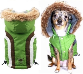 Swiss Alpine Ski Vest - Green dog bowls,susan lanci, puppia,wooflink, luxury dog boutique,tonimari,pet clothes, dog clothes, puppy clothes, pet store, dog store, puppy boutique store, dog boutique, pet boutique, puppy boutique, Bloomingtails, dog, small dog clothes, large dog clothes, large dog costumes, small dog costumes, pet stuff, Halloween dog, puppy Halloween, pet Halloween, clothes, dog puppy Halloween, dog sale, pet sale, puppy sale, pet dog tank, pet tank, pet shirt, dog shirt, puppy shirt,puppy tank, I see spot, dog collars, dog leads, pet collar, pet lead,puppy collar, puppy lead, dog toys, pet toys, puppy toy, dog beds, pet beds, puppy bed,  beds,dog mat, pet mat, puppy mat, fab dog pet sweater, dog sweater, dog winter, pet winter,dog raincoat, pet raincoat,