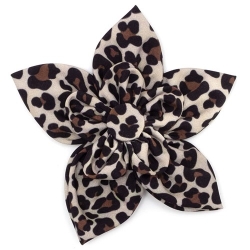 Tan Leopard Collar Flower   Roxy & Lulu, wooflink, susan lanci, dog clothes, small dog clothes, urban pup, pooch outfitters, dogo, hip doggie, doggie design, small dog dress, pet clotes, dog boutique. pet boutique, bloomingtails dog boutique, dog raincoat, dog rain coat, pet raincoat, dog shampoo, pet shampoo, dog bathrobe, pet bathrobe, dog carrier, small dog carrier, doggie couture, pet couture, dog football, dog toys, pet toys, dog clothes sale, pet clothes sale, shop local, pet store, dog store, dog chews, pet chews, worthy dog, dog bandana, pet bandana, dog halloween, pet halloween, dog holiday, pet holiday, dog teepee, custom dog clothes, pet pjs, dog pjs, pet pajamas, dog pajamas,dog sweater, pet sweater, dog hat, fabdog, fab dog, dog puffer coat, dog winter ja