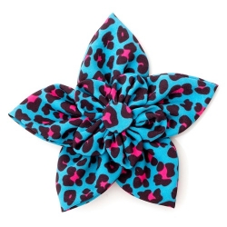 Teal Leopard Collar Flower   Roxy & Lulu, wooflink, susan lanci, dog clothes, small dog clothes, urban pup, pooch outfitters, dogo, hip doggie, doggie design, small dog dress, pet clotes, dog boutique. pet boutique, bloomingtails dog boutique, dog raincoat, dog rain coat, pet raincoat, dog shampoo, pet shampoo, dog bathrobe, pet bathrobe, dog carrier, small dog carrier, doggie couture, pet couture, dog football, dog toys, pet toys, dog clothes sale, pet clothes sale, shop local, pet store, dog store, dog chews, pet chews, worthy dog, dog bandana, pet bandana, dog halloween, pet halloween, dog holiday, pet holiday, dog teepee, custom dog clothes, pet pjs, dog pjs, pet pajamas, dog pajamas,dog sweater, pet sweater, dog hat, fabdog, fab dog, dog puffer coat, dog winter ja