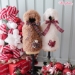 Teddy Bear Hood - wf-teddybearhoodie