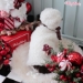 Teddy Bear Vest - wf-teddybearvestW-L3C