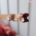 Teddy & Bow - wf-teddybow