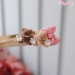 Teddy & Bow - wf-teddybow