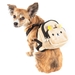 Teddy Tails Dual Pocket Harness Backpack - pl-teddytails