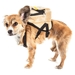 Teddy Tails Dual Pocket Harness Backpack - pl-teddytails