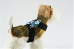Tiffi Plaid Nouveau Bow Tinkie Harness Roxy & Lulu, wooflink, susan lanci, dog clothes, small dog clothes, urban pup, pooch outfitters, dogo, hip doggie, doggie design, small dog dress, pet clotes, dog boutique. pet boutique, bloomingtails dog boutique, dog raincoat, dog rain coat, pet raincoat, dog shampoo, pet shampoo, dog bathrobe, pet bathrobe, dog carrier, small dog carrier, doggie couture, pet couture, dog football, dog toys, pet toys, dog clothes sale, pet clothes sale, shop local, pet store, dog store, dog chews, pet chews, worthy dog, dog bandana, pet bandana, dog halloween, pet halloween, dog holiday, pet holiday, dog teepee, custom dog clothes, pet pjs, dog pjs, pet pajamas, dog pajamas,dog sweater, pet sweater, dog hat, fabdog, fab dog, dog puffer coat, dog winter ja