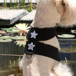 Tinkie Rock Star Harness by Susan Lanci in Many Colors  wooflink, susan lanci, dog clothes, small dog clothes, urban pup, pooch outfitters, dogo, hip doggie, doggie design, small dog dress, pet clotes, dog boutique. pet boutique, bloomingtails dog boutique, dog raincoat, dog rain coat, pet raincoat, dog shampoo, pet shampoo, dog bathrobe, pet bathrobe, dog carrier, small dog carrier, doggie couture, pet couture, dog football, dog toys, pet toys, dog clothes sale, pet clothes sale, shop local, pet store, dog store, dog chews, pet chews, worthy dog, dog bandana, pet bandana, dog halloween, pet halloween, dog holiday, pet holiday, dog teepee, custom dog clothes, pet pjs, dog pjs, pet pajamas, dog pajamas,dog sweater, pet sweater, dog hat, fabdog, fab dog, dog puffer coat, dog winter jacket, dog col