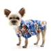 Tropical Floral Blue Dog Shirt  - dgo-tropicalfloralblue