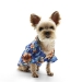 Tropical Floral Blue Dog Shirt  - dgo-tropicalfloralblue