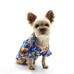 Tropical Floral Blue Dog Shirt  Roxy & Lulu, wooflink, susan lanci, dog clothes, small dog clothes, urban pup, pooch outfitters, dogo, hip doggie, doggie design, small dog dress, pet clotes, dog boutique. pet boutique, bloomingtails dog boutique, dog raincoat, dog rain coat, pet raincoat, dog shampoo, pet shampoo, dog bathrobe, pet bathrobe, dog carrier, small dog carrier, doggie couture, pet couture, dog football, dog toys, pet toys, dog clothes sale, pet clothes sale, shop local, pet store, dog store, dog chews, pet chews, worthy dog, dog bandana, pet bandana, dog halloween, pet halloween, dog holiday, pet holiday, dog teepee, custom dog clothes, pet pjs, dog pjs, pet pajamas, dog pajamas,dog sweater, pet sweater, dog hat, fabdog, fab dog, dog puffer coat, dog winter ja