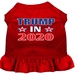 Trump 2020 Dress - mir-trumpdress