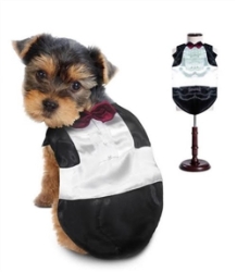 Tuxedo Dog Costume   costumes for dogs,dog bowls,susan lanci, puppia,wooflink, luxury dog boutique,tonimari,pet clothes, dog clothes, puppy clothes, pet store, dog store, puppy boutique store, dog boutique, pet boutique, puppy boutique, Bloomingtails, dog, small dog clothes, large dog clothes, large dog costumes, small dog costumes, pet stuff, Halloween dog, puppy Halloween, pet Halloween, clothes, dog puppy Halloween, dog sale, pet sale, puppy sale, pet dog tank, pet tank, pet shirt, dog shirt, puppy shirt,puppy tank, I see spot, dog collars, dog leads, pet collar, pet lead,puppy collar, puppy lead, dog toys, pet toys, puppy toy, dog beds, pet beds, puppy bed,  beds,dog mat, pet mat, puppy mat, fab dog pet sweater, dog sweater, dog winter, pet winter,dog rain