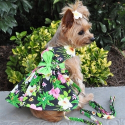 Twilight Black Hawaiian Hibiscus Dress with D-Ring and Matching Leash    wooflink, susan lanci, dog clothes, small dog clothes, urban pup, pooch outfitters, dogo, hip doggie, doggie design, small dog dress, pet clotes, dog boutique. pet boutique, bloomingtails dog boutique, dog raincoat, dog rain coat, pet raincoat, dog shampoo, pet shampoo, dog bathrobe, pet bathrobe, dog carrier, small dog carrier, doggie couture, pet couture, dog football, dog toys, pet toys, dog clothes sale, pet clothes sale, shop local, pet store, dog store, dog chews, pet chews, worthy dog, dog bandana, pet bandana, dog halloween, pet halloween, dog holiday, pet holiday, dog teepee, custom dog clothes, pet pjs, dog pjs, pet pajamas, dog pajamas,dog sweater, pet sweater, dog hat, fabdog, fab dog, dog puffer coat, dog winter jacket, dog col