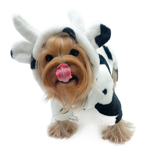 Ultra Plush Moo Cow Pjs Roxy & Lulu, wooflink, susan lanci, dog clothes, small dog clothes, urban pup, pooch outfitters, dogo, hip doggie, doggie design, small dog dress, pet clotes, dog boutique. pet boutique, bloomingtails dog boutique, dog raincoat, dog rain coat, pet raincoat, dog shampoo, pet shampoo, dog bathrobe, pet bathrobe, dog carrier, small dog carrier, doggie couture, pet couture, dog football, dog toys, pet toys, dog clothes sale, pet clothes sale, shop local, pet store, dog store, dog chews, pet chews, worthy dog, dog bandana, pet bandana, dog halloween, pet halloween, dog holiday, pet holiday, dog teepee, custom dog clothes, pet pjs, dog pjs, pet pajamas, dog pajamas,dog sweater, pet sweater, dog hat, fabdog, fab dog, dog puffer coat, dog winter ja
