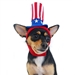 Uncle Sam Dog Hat - dgo-unsam-hat