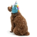 Unicorn Hat in Blue - dgo-unicorn