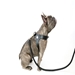 VP Pet Harness in Pink - vp-harnesspink