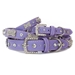 VP Violet Diamond & Bone Collar - vp-violet