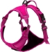 Venture Paw Pull Control Harness in 5 Beautiful Colors - dd-venturepaw