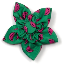 Watermelon Flower  Roxy & Lulu, wooflink, susan lanci, dog clothes, small dog clothes, urban pup, pooch outfitters, dogo, hip doggie, doggie design, small dog dress, pet clotes, dog boutique. pet boutique, bloomingtails dog boutique, dog raincoat, dog rain coat, pet raincoat, dog shampoo, pet shampoo, dog bathrobe, pet bathrobe, dog carrier, small dog carrier, doggie couture, pet couture, dog football, dog toys, pet toys, dog clothes sale, pet clothes sale, shop local, pet store, dog store, dog chews, pet chews, worthy dog, dog bandana, pet bandana, dog halloween, pet halloween, dog holiday, pet holiday, dog teepee, custom dog clothes, pet pjs, dog pjs, pet pajamas, dog pajamas,dog sweater, pet sweater, dog hat, fabdog, fab dog, dog puffer coat, dog winter ja
