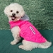 Weekender Dog Sweatshirt - Pink - dd-pink-weekender