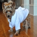 White Gold Crown Dog Bathrobe - dogdes-goldcrown-bathrobe