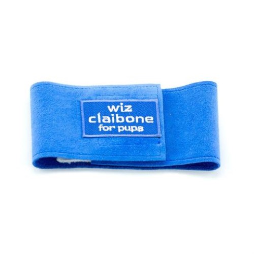 Wiz Claibone Belly Bands in Many Colors  wooflink, susan lanci, dog clothes, small dog clothes, urban pup, pooch outfitters, dogo, hip doggie, doggie design, small dog dress, pet clotes, dog boutique. pet boutique, bloomingtails dog boutique, dog raincoat, dog rain coat, pet raincoat, dog shampoo, pet shampoo, dog bathrobe, pet bathrobe, dog carrier, small dog carrier, doggie couture, pet couture, dog football, dog toys, pet toys, dog clothes sale, pet clothes sale, shop local, pet store, dog store, dog chews, pet chews, worthy dog, dog bandana, pet bandana, dog halloween, pet halloween, dog holiday, pet holiday, dog teepee, custom dog clothes, pet pjs, dog pjs, pet pajamas, dog pajamas,dog sweater, pet sweater, dog hat, fabdog, fab dog, dog puffer coat, dog winter jacket, dog col