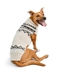 Wyatt Cream Alpaca Shawl Dog Sweater  - cd-cream-sweater