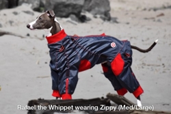 Zippy Suit wooflink, susan lanci, dog clothes, small dog clothes, urban pup, pooch outfitters, dogo, hip doggie, doggie design, small dog dress, pet clotes, dog boutique. pet boutique, bloomingtails dog boutique, dog raincoat, dog rain coat, pet raincoat, dog shampoo, pet shampoo, dog bathrobe, pet bathrobe, dog carrier, small dog carrier, doggie couture, pet couture, dog football, dog toys, pet toys, dog clothes sale, pet clothes sale, shop local, pet store, dog store, dog chews, pet chews, worthy dog, dog bandana, pet bandana, dog halloween, pet halloween, dog holiday, pet holiday, dog teepee, custom dog clothes, pet pjs, dog pjs, pet pajamas, dog pajamas,dog sweater, pet sweater, dog hat, fabdog, fab dog, dog puffer coat, dog winter jacket, dog col