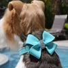 Nouveau  Bow Collar 1/2 Inch Collar by Susan Lanci in Many Colors wooflink, susan lanci, dog clothes, small dog clothes, urban pup, pooch outfitters, dogo, hip doggie, doggie design, small dog dress, pet clotes, dog boutique. pet boutique, bloomingtails dog boutique, dog raincoat, dog rain coat, pet raincoat, dog shampoo, pet shampoo, dog bathrobe, pet bathrobe, dog carrier, small dog carrier, doggie couture, pet couture, dog football, dog toys, pet toys, dog clothes sale, pet clothes sale, shop local, pet store, dog store, dog chews, pet chews, worthy dog, dog bandana, pet bandana, dog halloween, pet halloween, dog holiday, pet holiday, dog teepee, custom dog clothes, pet pjs, dog pjs, pet pajamas, dog pajamas,dog sweater, pet sweater, dog hat, fabdog, fab dog, dog puffer coat, dog winter jacket, dog col