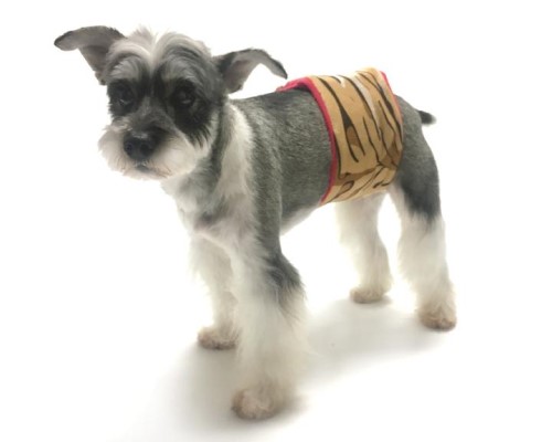 Wild Child Gazelle Belly Band wooflink, susan lanci, dog clothes, small dog clothes, urban pup, pooch outfitters, dogo, hip doggie, doggie design, small dog dress, pet clotes, dog boutique. pet boutique, bloomingtails dog boutique, dog raincoat, dog rain coat, pet raincoat, dog shampoo, pet shampoo, dog bathrobe, pet bathrobe, dog carrier, small dog carrier, doggie couture, pet couture, dog football, dog toys, pet toys, dog clothes sale, pet clothes sale, shop local, pet store, dog store, dog chews, pet chews, worthy dog, dog bandana, pet bandana, dog halloween, pet halloween, dog holiday, pet holiday, dog teepee, custom dog clothes, pet pjs, dog pjs, pet pajamas, dog pajamas,dog sweater, pet sweater, dog hat, fabdog, fab dog, dog puffer coat, dog winter jacket, dog col