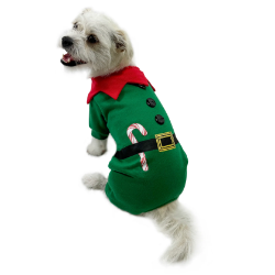 Candy Cane Elf Bodysuit Roxy & Lulu, wooflink, susan lanci, dog clothes, small dog clothes, urban pup, pooch outfitters, dogo, hip doggie, doggie design, small dog dress, pet clotes, dog boutique. pet boutique, bloomingtails dog boutique, dog raincoat, dog rain coat, pet raincoat, dog shampoo, pet shampoo, dog bathrobe, pet bathrobe, dog carrier, small dog carrier, doggie couture, pet couture, dog football, dog toys, pet toys, dog clothes sale, pet clothes sale, shop local, pet store, dog store, dog chews, pet chews, worthy dog, dog bandana, pet bandana, dog halloween, pet halloween, dog holiday, pet holiday, dog teepee, custom dog clothes, pet pjs, dog pjs, pet pajamas, dog pajamas,dog sweater, pet sweater, dog hat, fabdog, fab dog, dog puffer coat, dog winter ja