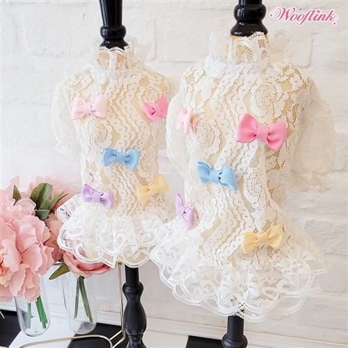 Sweet Babe by Wooflink sweet bae, dog dress, pet dress, sweet babe dress, wooflink, designer dog dress, designer pet dress, couture dog clothes, couture pet clothes, sale, dog sale, pet sale, clearance dog designs, bloomingtails dog boutique, pet clothes sale, easter dog dress, easter ;pet dress, dog boutique, pet boutique, pet store, dog store, quality dog clothing, quality pet clothing, new  dog clothes, new pet clothes, pet clothing for sale, best dog boutique, longest owned pet boutique, dog boutiques near me, pet boutiques near me, pest customer service dog  boutique, tanya urbanczyk, tina ottati, sale, easter sale, easter dog sale, easter pet sale,  