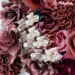 Teddy & Bow - wf-teddybow