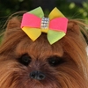 Angela Hair Bow by Susan Lanci Roxy & Lulu, wooflink, susan lanci, dog clothes, small dog clothes, urban pup, pooch outfitters, dogo, hip doggie, doggie design, small dog dress, pet clotes, dog boutique. pet boutique, bloomingtails dog boutique, dog raincoat, dog rain coat, pet raincoat, dog shampoo, pet shampoo, dog bathrobe, pet bathrobe, dog carrier, small dog carrier, doggie couture, pet couture, dog football, dog toys, pet toys, dog clothes sale, pet clothes sale, shop local, pet store, dog store, dog chews, pet chews, worthy dog, dog bandana, pet bandana, dog halloween, pet halloween, dog holiday, pet holiday, dog teepee, custom dog clothes, pet pjs, dog pjs, pet pajamas, dog pajamas,dog sweater, pet sweater, dog hat, fabdog, fab dog, dog puffer coat, dog winter ja