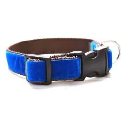 Archie Royal Blue Velvet Dog Collar & Lead Roxy & Lulu, wooflink, susan lanci, dog clothes, small dog clothes, urban pup, pooch outfitters, dogo, hip doggie, doggie design, small dog dress, pet clotes, dog boutique. pet boutique, bloomingtails dog boutique, dog raincoat, dog rain coat, pet raincoat, dog shampoo, pet shampoo, dog bathrobe, pet bathrobe, dog carrier, small dog carrier, doggie couture, pet couture, dog football, dog toys, pet toys, dog clothes sale, pet clothes sale, shop local, pet store, dog store, dog chews, pet chews, worthy dog, dog bandana, pet bandana, dog halloween, pet halloween, dog holiday, pet holiday, dog teepee, custom dog clothes, pet pjs, dog pjs, pet pajamas, dog pajamas,dog sweater, pet sweater, dog hat, fabdog, fab dog, dog puffer coat, dog winter ja
