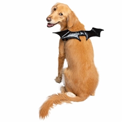 Bat Wings Attachment  Roxy & Lulu, wooflink, susan lanci, dog clothes, small dog clothes, urban pup, pooch outfitters, dogo, hip doggie, doggie design, small dog dress, pet clotes, dog boutique. pet boutique, bloomingtails dog boutique, dog raincoat, dog rain coat, pet raincoat, dog shampoo, pet shampoo, dog bathrobe, pet bathrobe, dog carrier, small dog carrier, doggie couture, pet couture, dog football, dog toys, pet toys, dog clothes sale, pet clothes sale, shop local, pet store, dog store, dog chews, pet chews, worthy dog, dog bandana, pet bandana, dog halloween, pet halloween, dog holiday, pet holiday, dog teepee, custom dog clothes, pet pjs, dog pjs, pet pajamas, dog pajamas,dog sweater, pet sweater, dog hat, fabdog, fab dog, dog puffer coat, dog winter ja