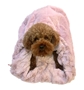 The Bella Cozy sak in Many Colors Roxy & Lulu, wooflink, susan lanci, dog clothes, small dog clothes, urban pup, pooch outfitters, dogo, hip doggie, doggie design, small dog dress, pet clotes, dog boutique. pet boutique, bloomingtails dog boutique, dog raincoat, dog rain coat, pet raincoat, dog shampoo, pet shampoo, dog bathrobe, pet bathrobe, dog carrier, small dog carrier, doggie couture, pet couture, dog football, dog toys, pet toys, dog clothes sale, pet clothes sale, shop local, pet store, dog store, dog chews, pet chews, worthy dog, dog bandana, pet bandana, dog halloween, pet halloween, dog holiday, pet holiday, dog teepee, custom dog clothes, pet pjs, dog pjs, pet pajamas, dog pajamas,dog sweater, pet sweater, dog hat, fabdog, fab dog, dog puffer coat, dog winter ja